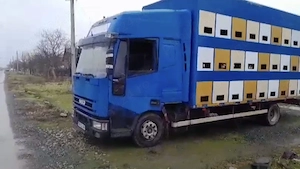 Camion omologat apicol