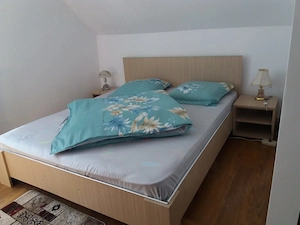De vanzare cabana Ranca,Gorj - imagine 6