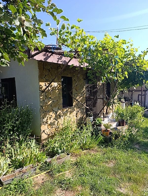 Vand casa Ciucurova, Tulcea  - imagine 4