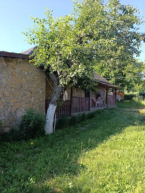 Vand casa Ciucurova, Tulcea  - imagine 5
