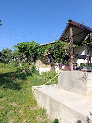 Vand casa Ciucurova, Tulcea  - imagine 3