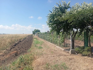 Se vinde proprietate de 5000m,costînd dintr o fermă de crescut animale. - imagine 3