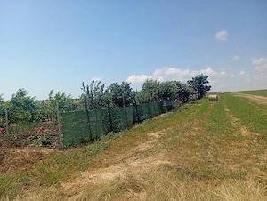 Se vinde proprietate de 5000m,costînd dintr o fermă de crescut animale.