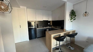 Inchiriere apartament 2 camere, direct proprietar, complex Cosmopolis - imagine 3