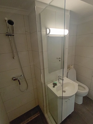 Central, prima inchiriere, mobilat la cerere, pet friendly - imagine 4