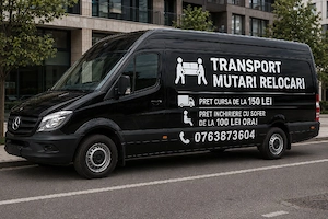 Transport mutari relocari