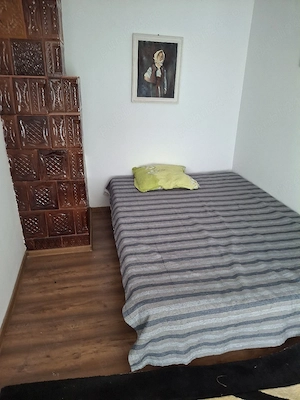 Vand casa si cabana in orasul Baile Olanesti, jud. Valcea - imagine 3