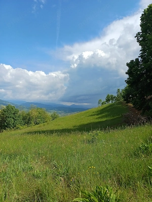 Teren de vânzare Roșia, Bihor 