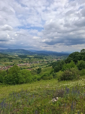 Teren de vânzare Roșia, Bihor  - imagine 6