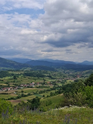 Teren de vânzare Roșia, Bihor  - imagine 7