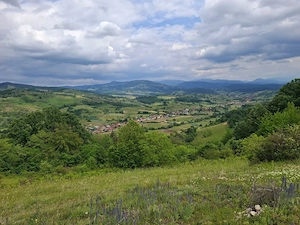 Teren de vânzare Roșia, Bihor  - imagine 8