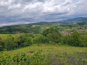 Teren de vânzare Roșia, Bihor  - imagine 4