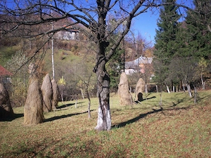 Casa de vanzare - Cavnic, Maramures - imagine 3