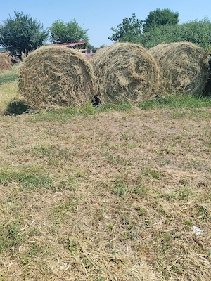 Vând baloți de lucernă a 3 a coasa.