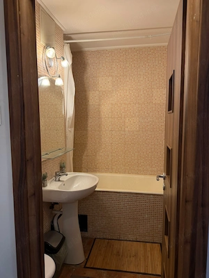 Închiriere apartament 2 camere Palas - imagine 5