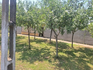 Vand casa Calacea URGENT - imagine 2