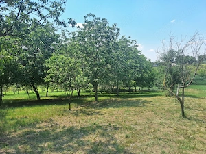 Vand casa Calacea URGENT - imagine 5