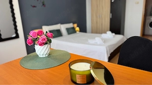 Proprietar  inchiriez apartament  2 camere - imagine 11