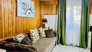 Proprietar Inchiriez apartament 1 camera 50 Mp - imagine 7