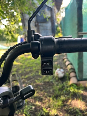 Tricicleta Electrică 