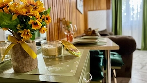 Proprietar Inchiriez apartament 1 camera 50 Mp - imagine 15