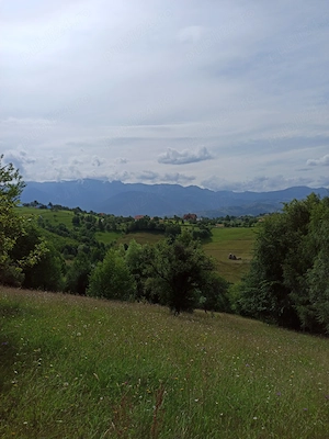 Teren Măgura(Moieciu)