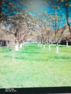 Teren între case, nu pe câmp, intravilan CF. Cu certificat urbanism. - imagine 10