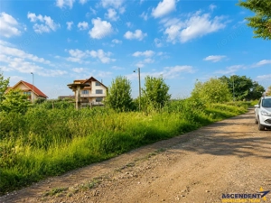 Teren intravilan 10.000 mp, parcelabil, plan, acces asfaltat, Bod, Brasov - imagine 5