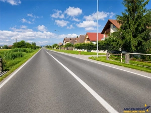 Teren intravilan 10.000 mp, parcelabil, plan, acces asfaltat, Bod, Brasov - imagine 3