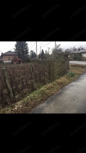Teren de vanzare la tantava (dupa ciorogarla),suprafata 831 mp,la 15 km de bucuresti - imagine 2