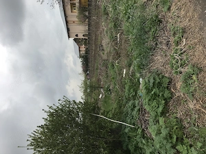 Teren de vanzare la tantava (dupa ciorogarla),suprafata 831 mp,la 15 km de bucuresti - imagine 3