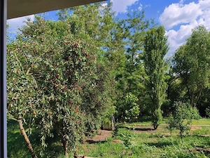 Casa de vanzare la tara jud. Cluj, loc. Camarasu - imagine 4