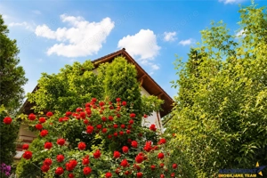 Vila pe 160 mp utili, terase 24 mp, 787 mp teren, Drumul Poienii, Brasov