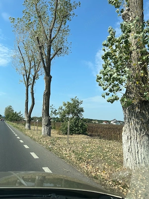 Teren vanzare Buftea | Strada Milano | Intravilan - imagine 3