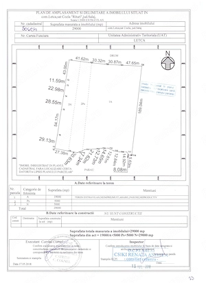 Plantatie Alun 2,9 ha - imagine 11