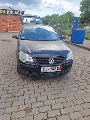 buna fanii polo ..si nu numai