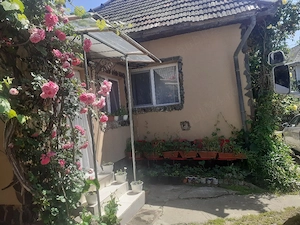 Proprietar   vind  Shimb  casa si anexe - imagine 5