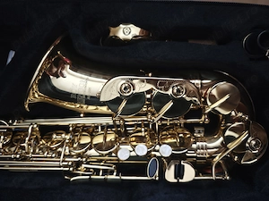   Vând saxofonul meu alto Roy Benson AS 201.