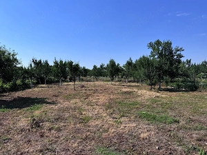 Vând casă oraș Seini - imagine 4