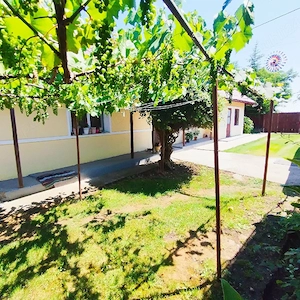 casa in loc Al i Cuza - imagine 2