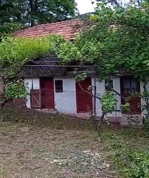 Casa de vânzare in sat Valea Muscelului, Pătârlagele - imagine 3