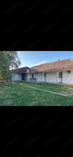 casa de vanzare, Peciu Nou, teren 1200 m - imagine 5