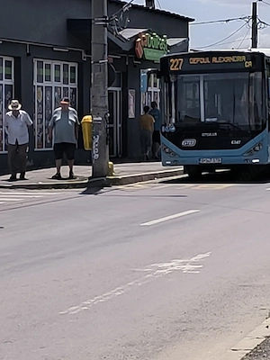 Propietar, Vand casa Bucuresti - imagine 8