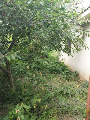Casa de vanzare sat Odaia Manolache judetul Galati - imagine 7