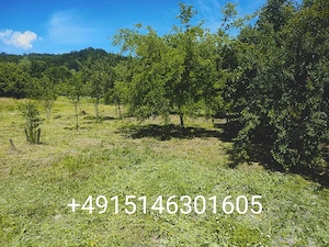 Casă  în Ilteu - imagine 4
