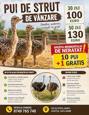 Struti sanatosi de vanzare 