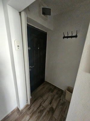 Apartament doua cemere, Ostroveni - imagine 5
