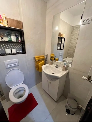 Inchiriez apartament 2 camere Palas - imagine 3