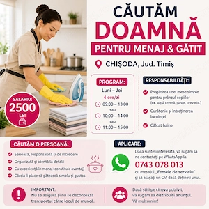 Cautam doamna pentru menaj si gatit in Chisoda