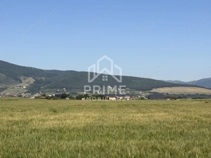 Teren Extravilan | 11.100 MP | 32M Deschidere| Orizont-Bărăbanț | OPORTUNITATE |